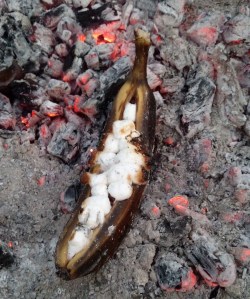 Do not be alarmed by the blackened peel. The banana inside is perfect.